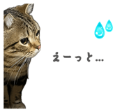 852300326