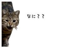 852300328