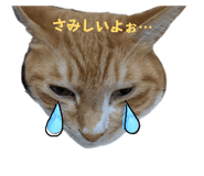 852300330