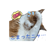 852300331