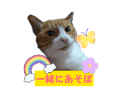 852300335