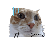 852300336