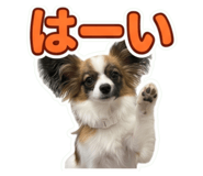 852300365