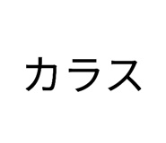 852300431