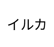 852300457