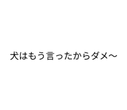 852300462