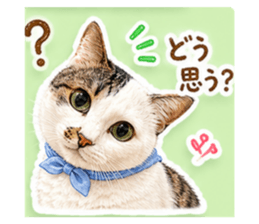 852300534