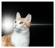852300865