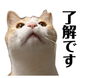 852300866