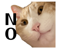 852300876