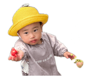 852301182