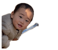 852301184