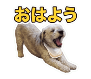 852302120