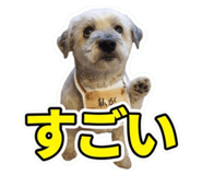 852302121
