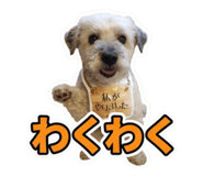 852302125
