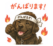 852302360