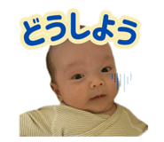 852302606