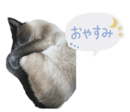 852304180