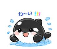 852304456