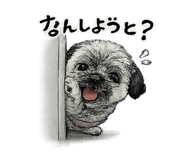 852304721