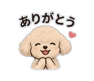 852305667