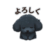 852305668