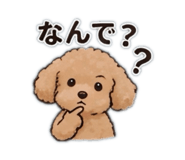 852305677