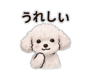 852305680