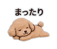 852305690