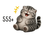 852306080