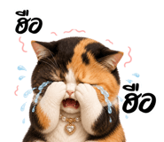 852306604