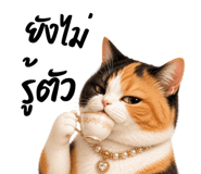 852306612