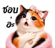 852306634