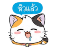 852311228