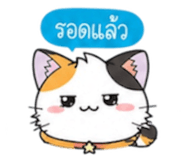 852311229