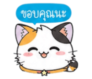 852311234