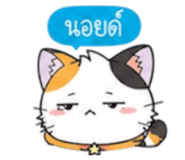 852311242