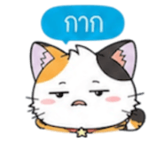 852311243