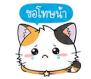 852311244