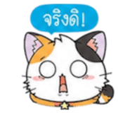 852311248