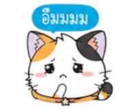 852311249