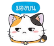 852311250