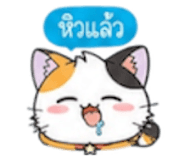 852311251