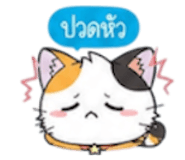 852311254