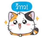852311255