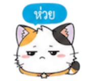 852311256