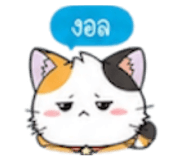 852311257