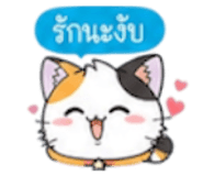 852311258