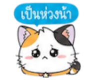 852311261
