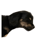 852326908